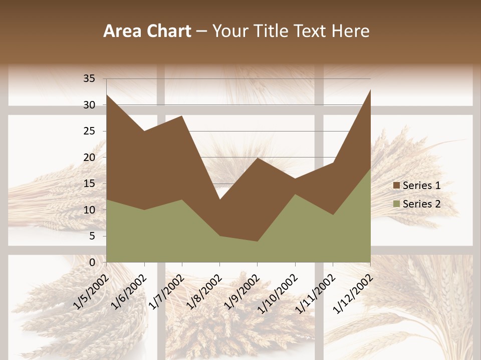 Ripe Ear White PowerPoint Template