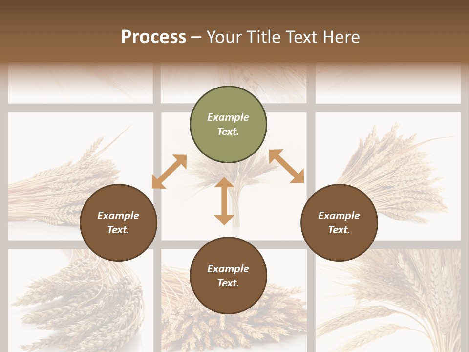 Ripe Ear White PowerPoint Template