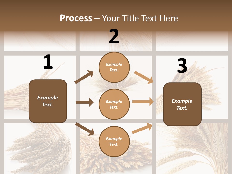 Ripe Ear White PowerPoint Template