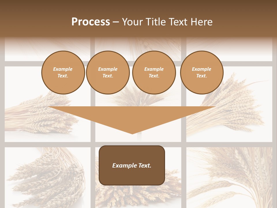 Ripe Ear White PowerPoint Template