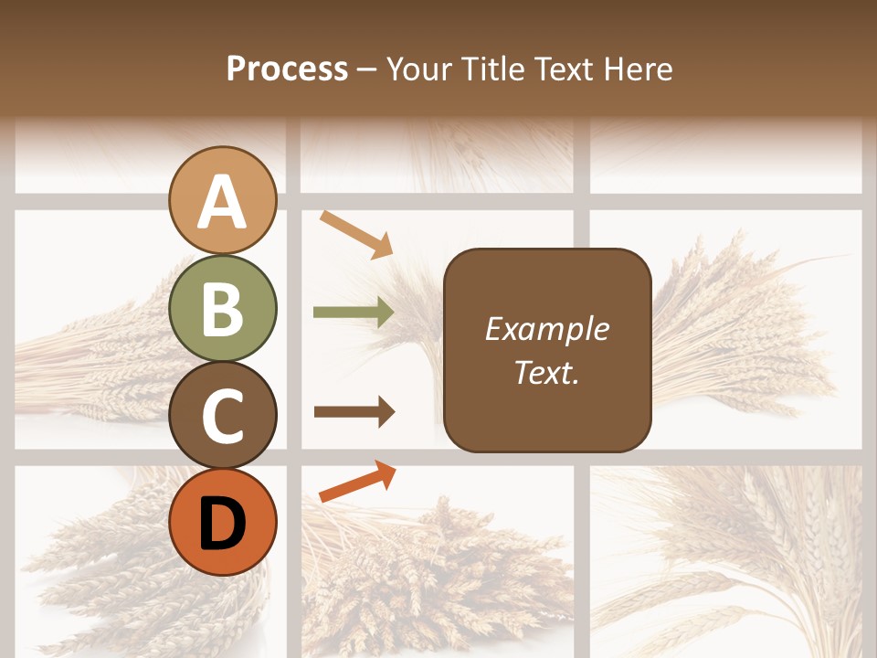 Ripe Ear White PowerPoint Template