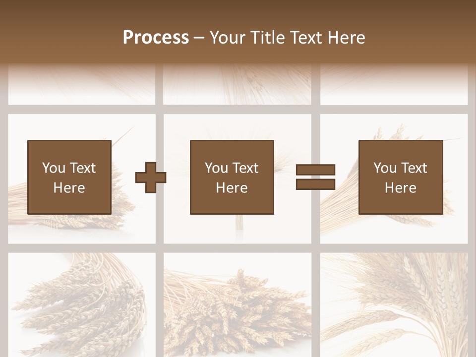Ripe Ear White PowerPoint Template