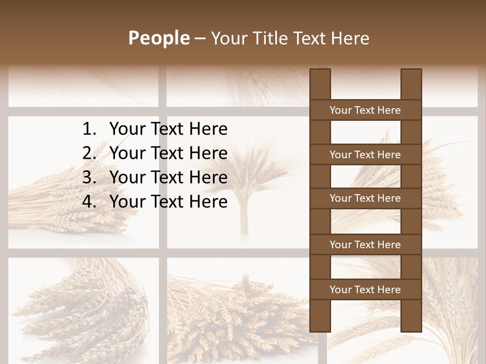 Ripe Ear White PowerPoint Template