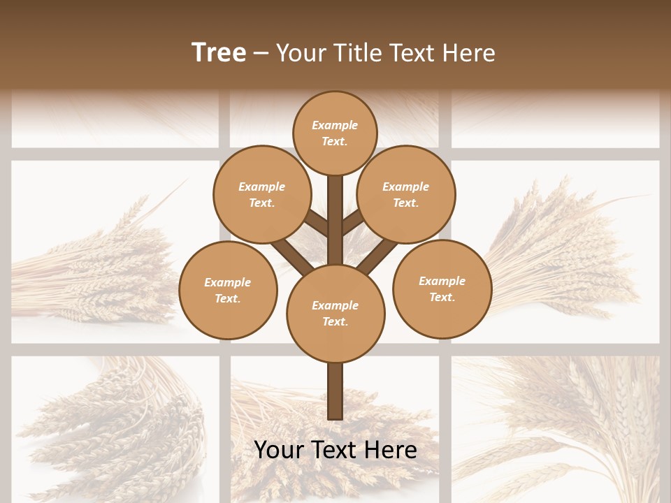 Ripe Ear White PowerPoint Template