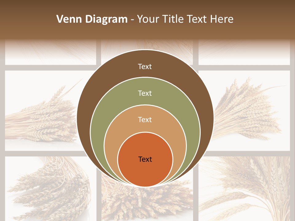 Ripe Ear White PowerPoint Template