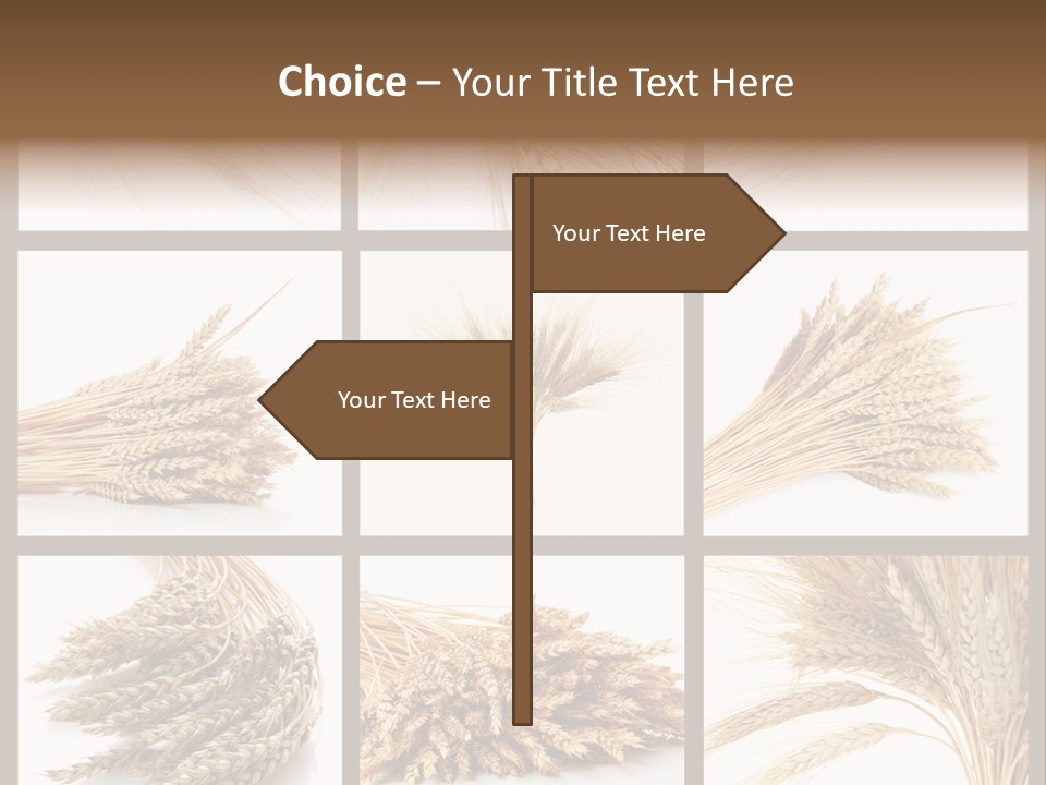 Ripe Ear White PowerPoint Template