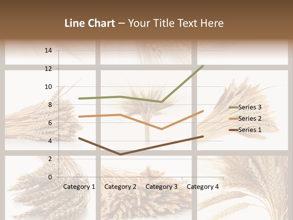 Ripe Ear White PowerPoint Template
