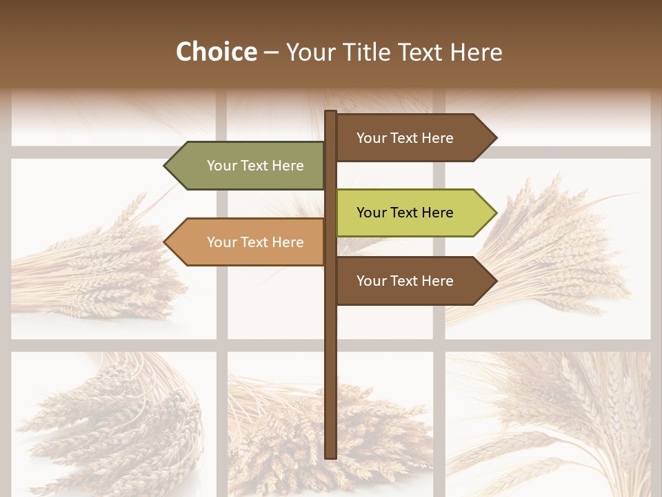 Ripe Ear White PowerPoint Template