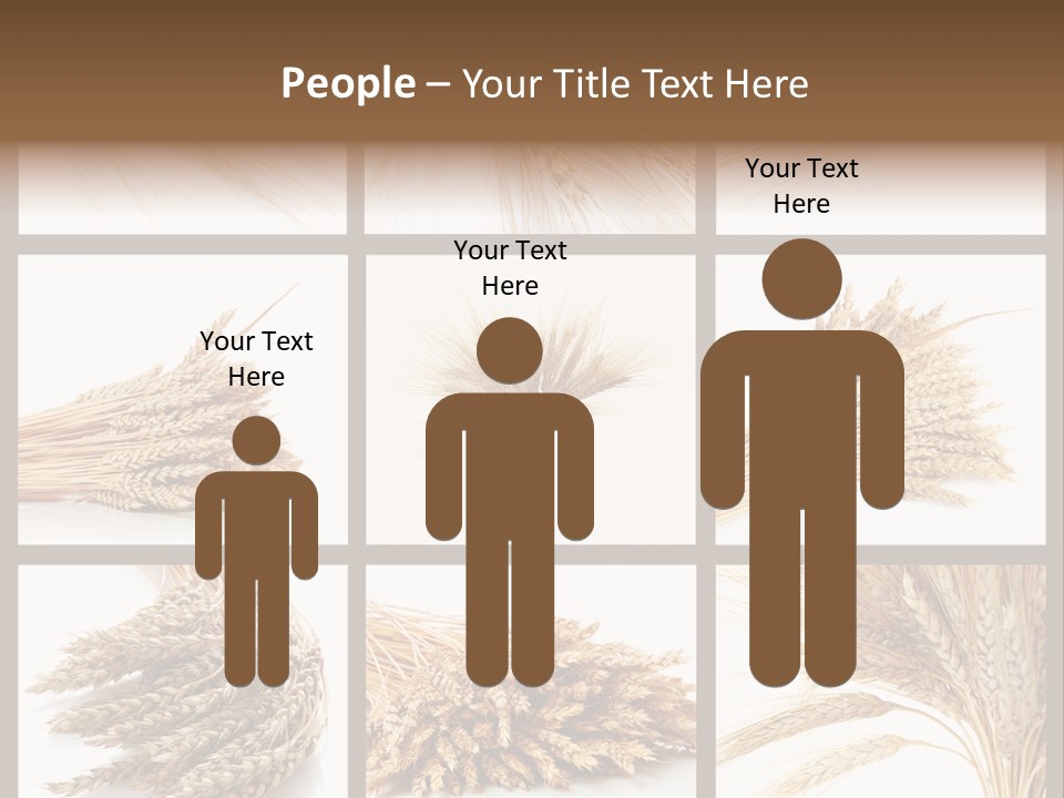 Ripe Ear White PowerPoint Template