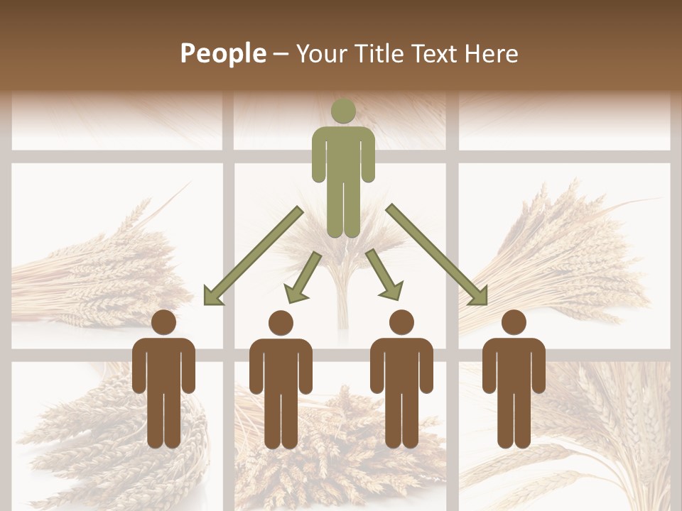 Ripe Ear White PowerPoint Template