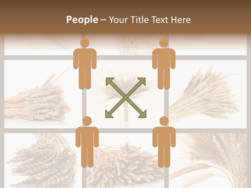 Ripe Ear White PowerPoint Template