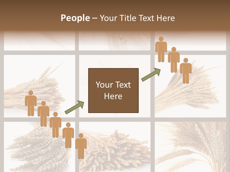 Ripe Ear White PowerPoint Template