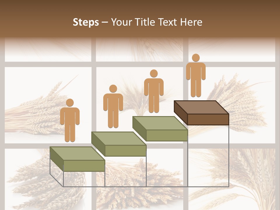 Ripe Ear White PowerPoint Template