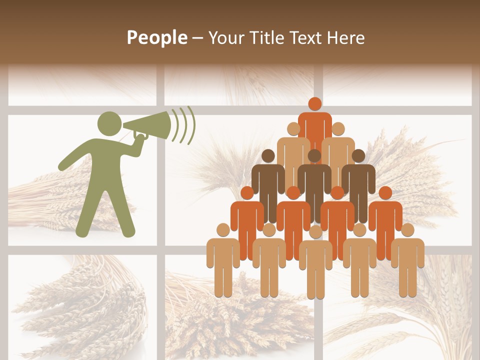 Ripe Ear White PowerPoint Template