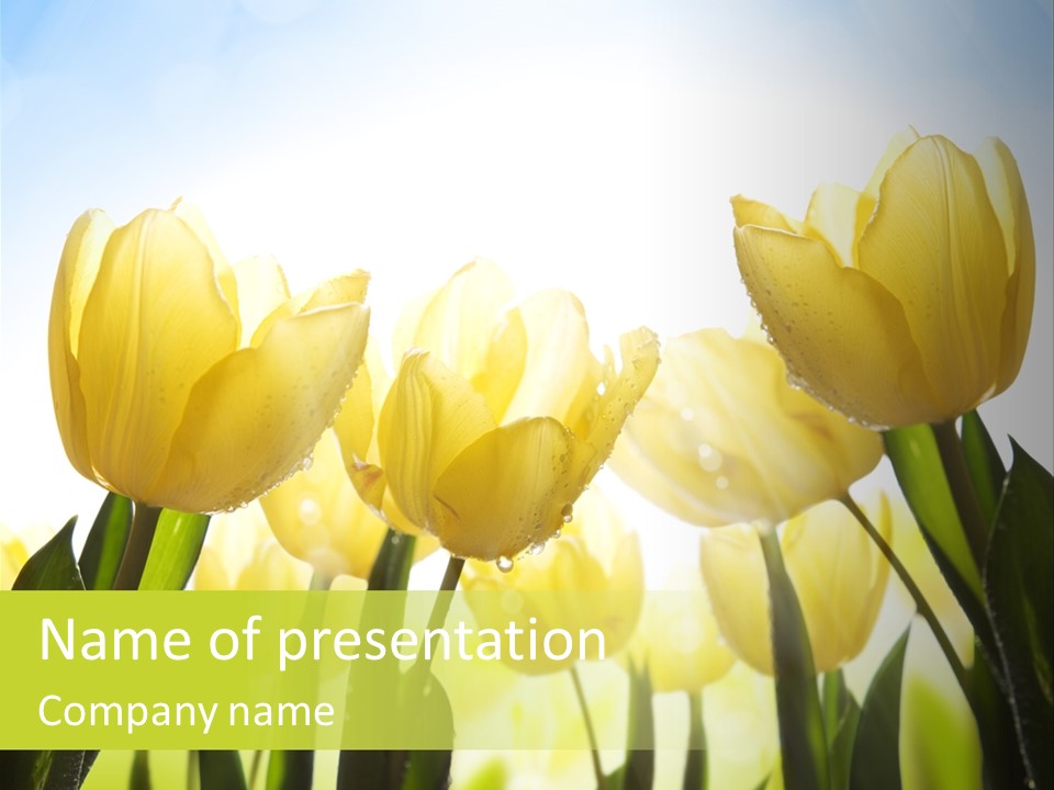 Beautiful Greeting Meadow PowerPoint Template