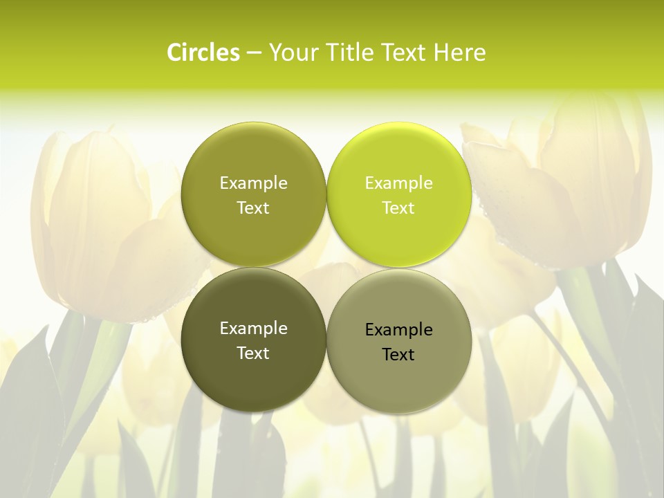 Beautiful Greeting Meadow PowerPoint Template