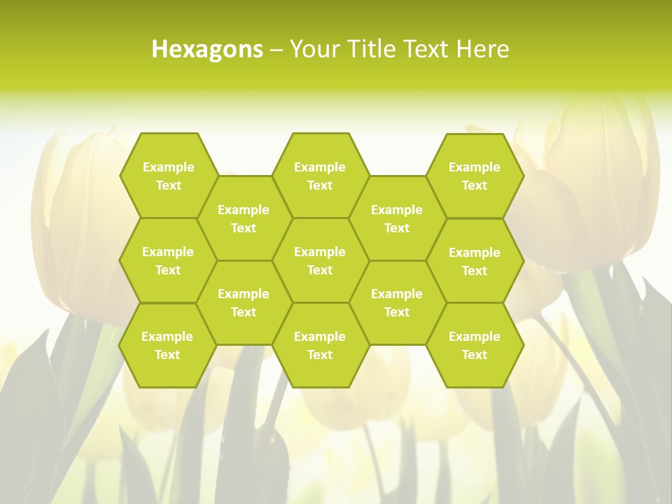 Beautiful Greeting Meadow PowerPoint Template