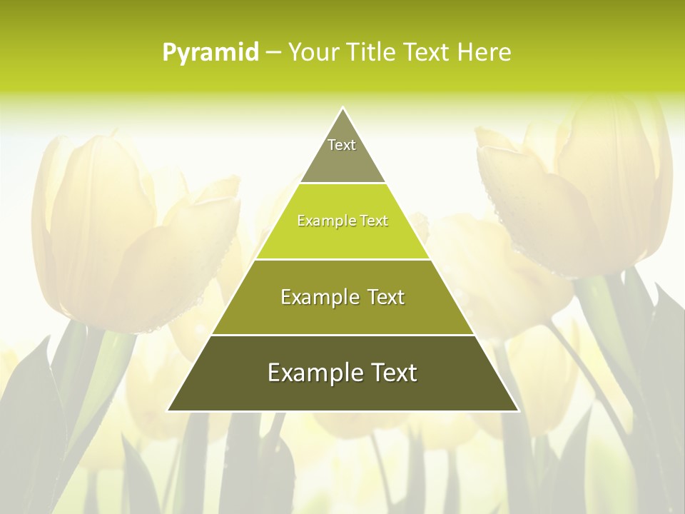 Beautiful Greeting Meadow PowerPoint Template