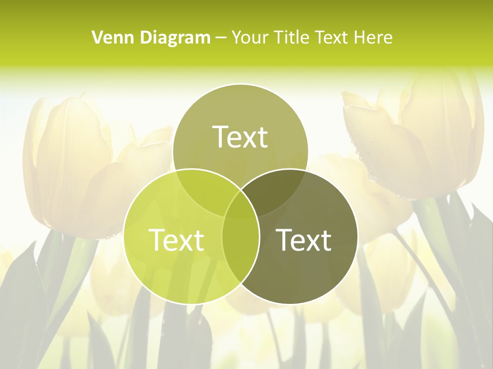 Beautiful Greeting Meadow PowerPoint Template