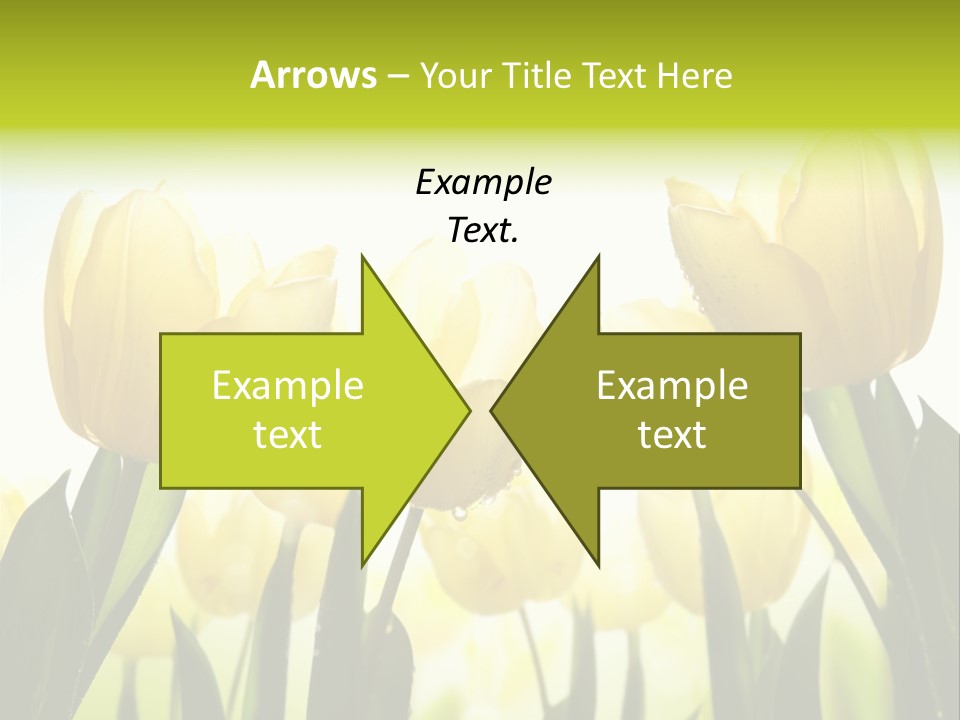 Beautiful Greeting Meadow PowerPoint Template