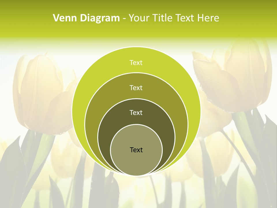 Beautiful Greeting Meadow PowerPoint Template