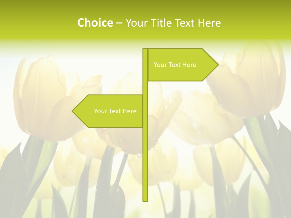 Beautiful Greeting Meadow PowerPoint Template