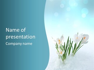 Petal Sunlight Floral PowerPoint Template