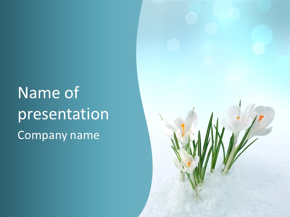 Petal Sunlight Floral PowerPoint Template