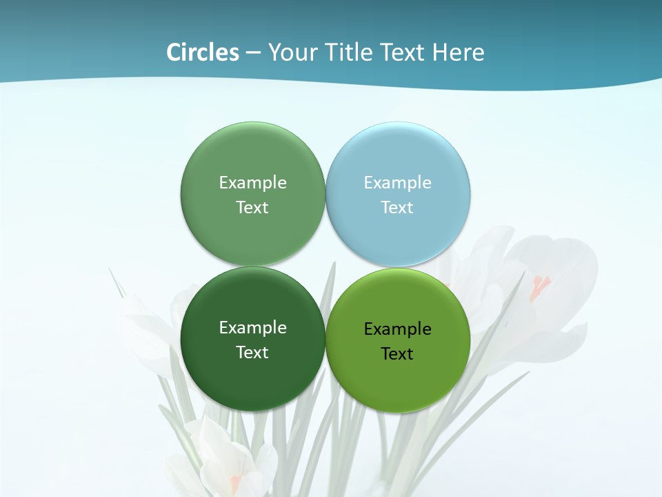 Petal Sunlight Floral PowerPoint Template