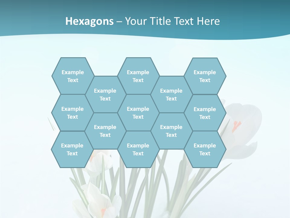 Petal Sunlight Floral PowerPoint Template