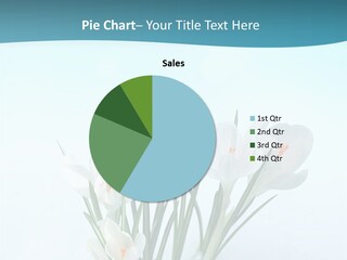 Petal Sunlight Floral PowerPoint Template