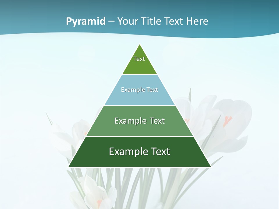 Petal Sunlight Floral PowerPoint Template