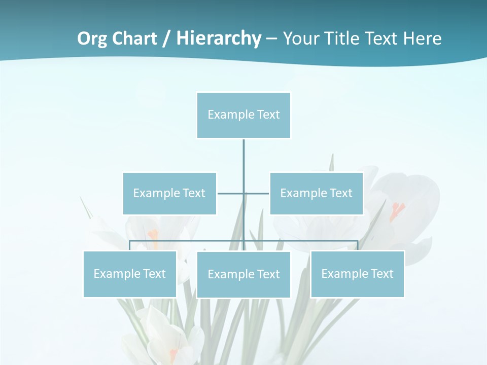 Petal Sunlight Floral PowerPoint Template