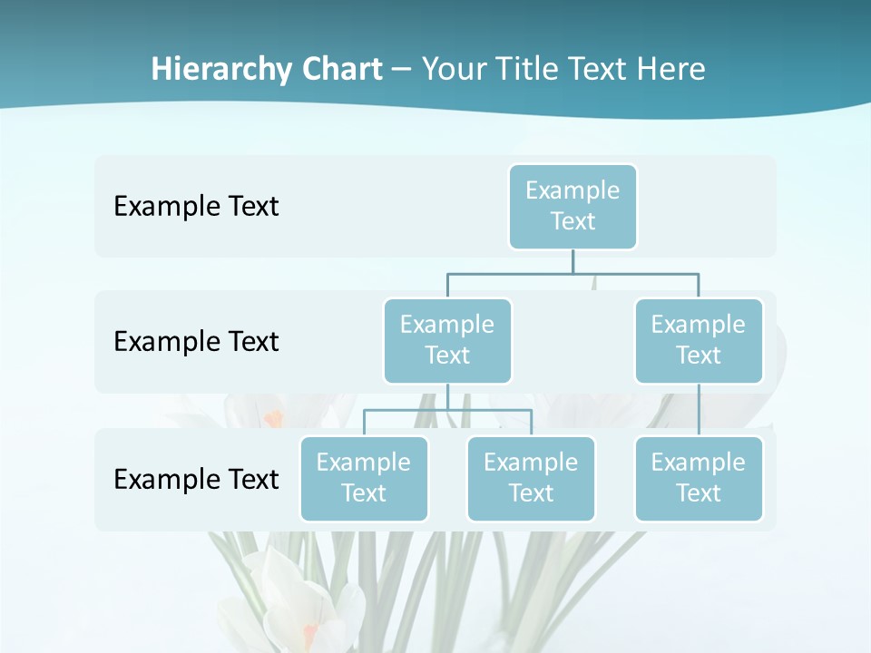 Petal Sunlight Floral PowerPoint Template