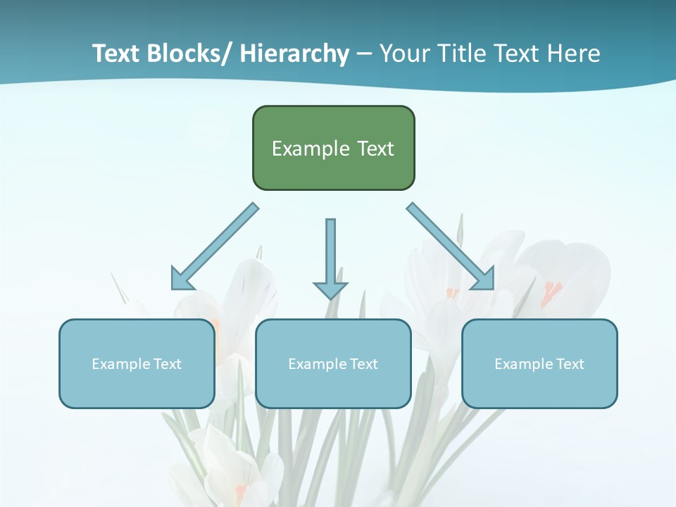 Petal Sunlight Floral PowerPoint Template