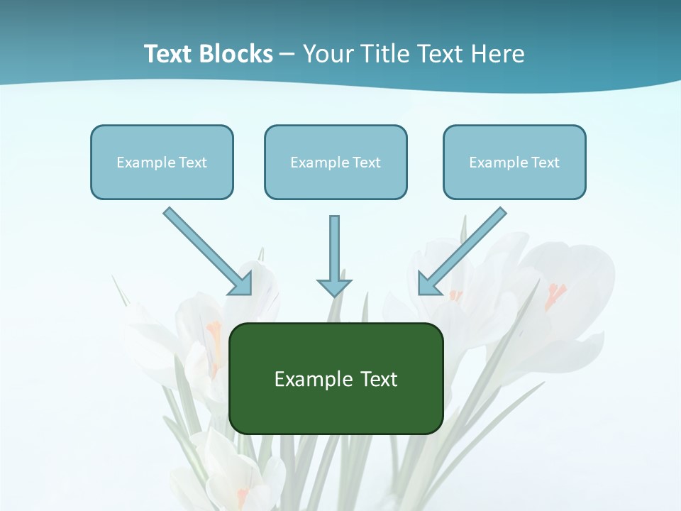 Petal Sunlight Floral PowerPoint Template