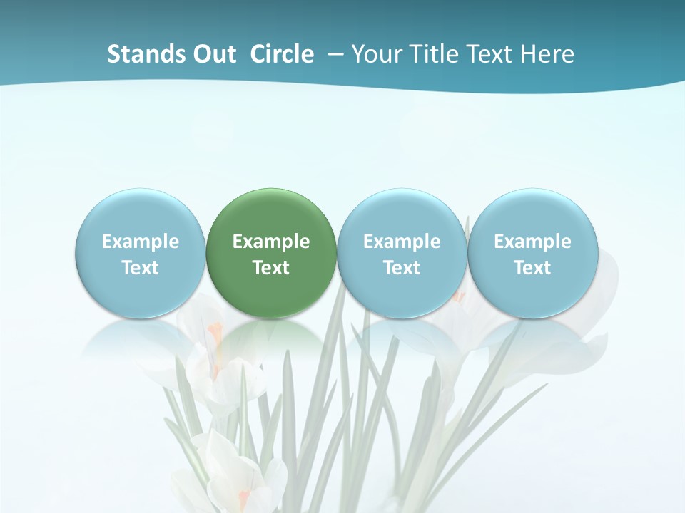 Petal Sunlight Floral PowerPoint Template