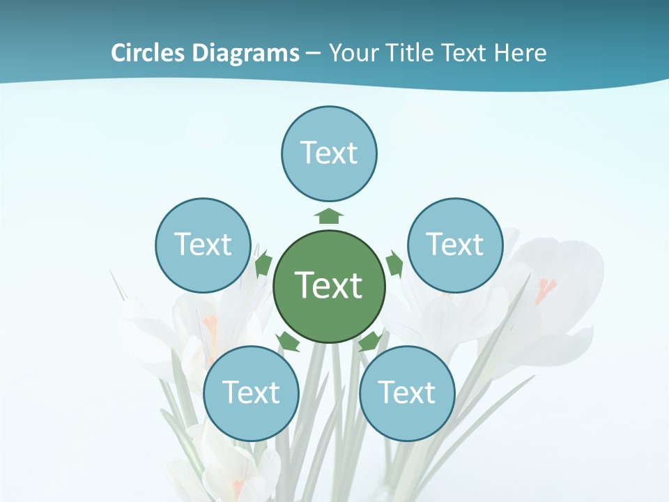 Petal Sunlight Floral PowerPoint Template