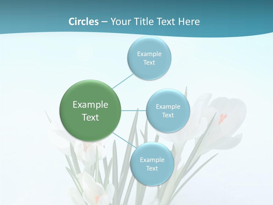 Petal Sunlight Floral PowerPoint Template