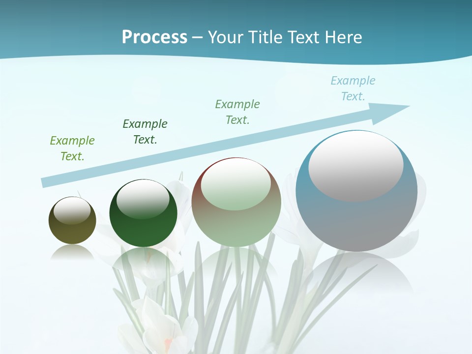 Petal Sunlight Floral PowerPoint Template