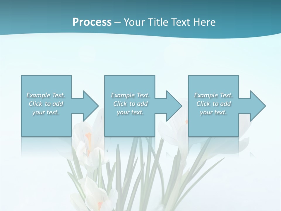 Petal Sunlight Floral PowerPoint Template