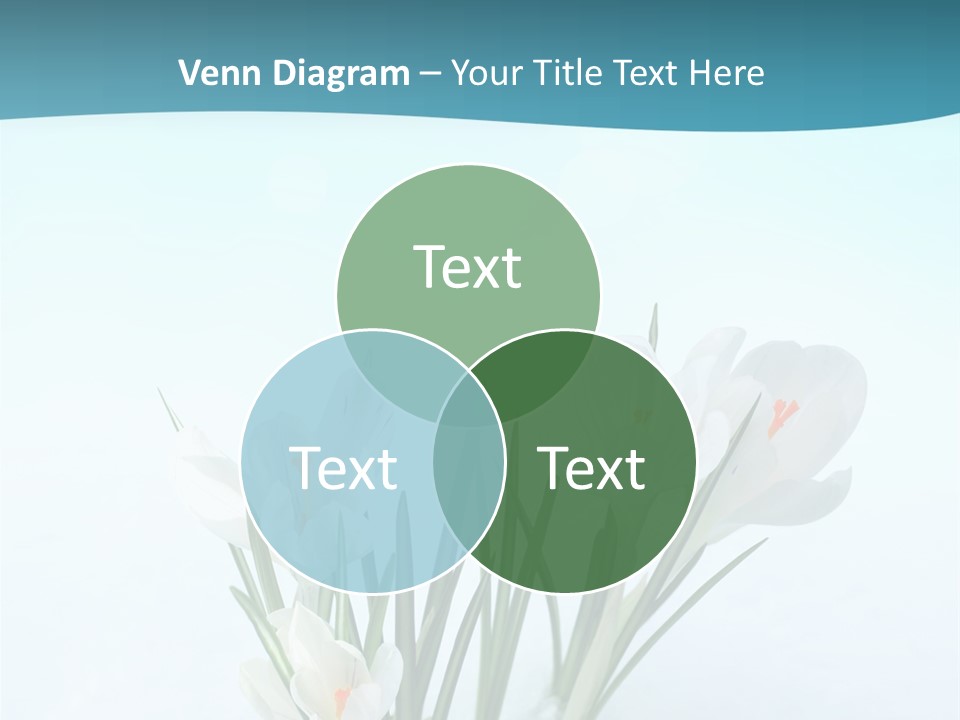 Petal Sunlight Floral PowerPoint Template