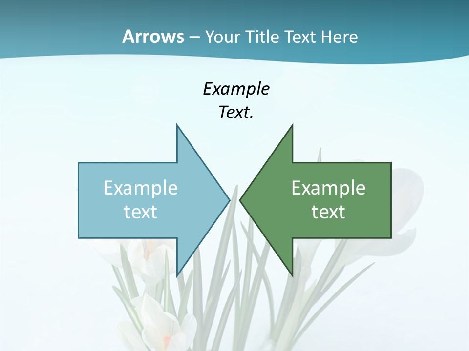 Petal Sunlight Floral PowerPoint Template