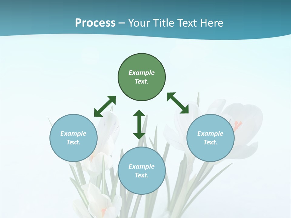 Petal Sunlight Floral PowerPoint Template