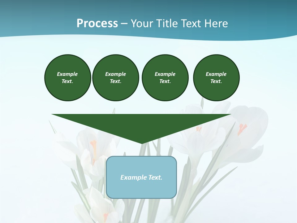 Petal Sunlight Floral PowerPoint Template