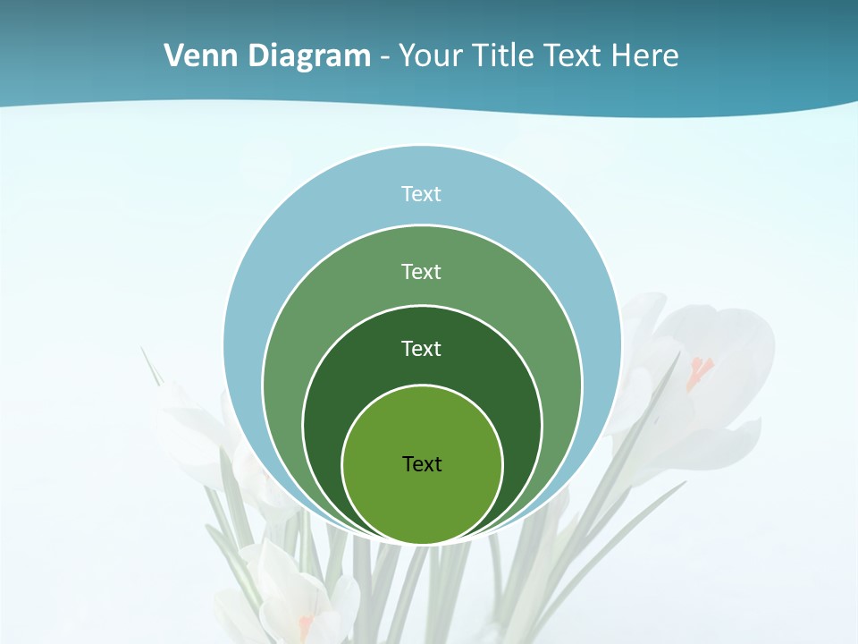 Petal Sunlight Floral PowerPoint Template