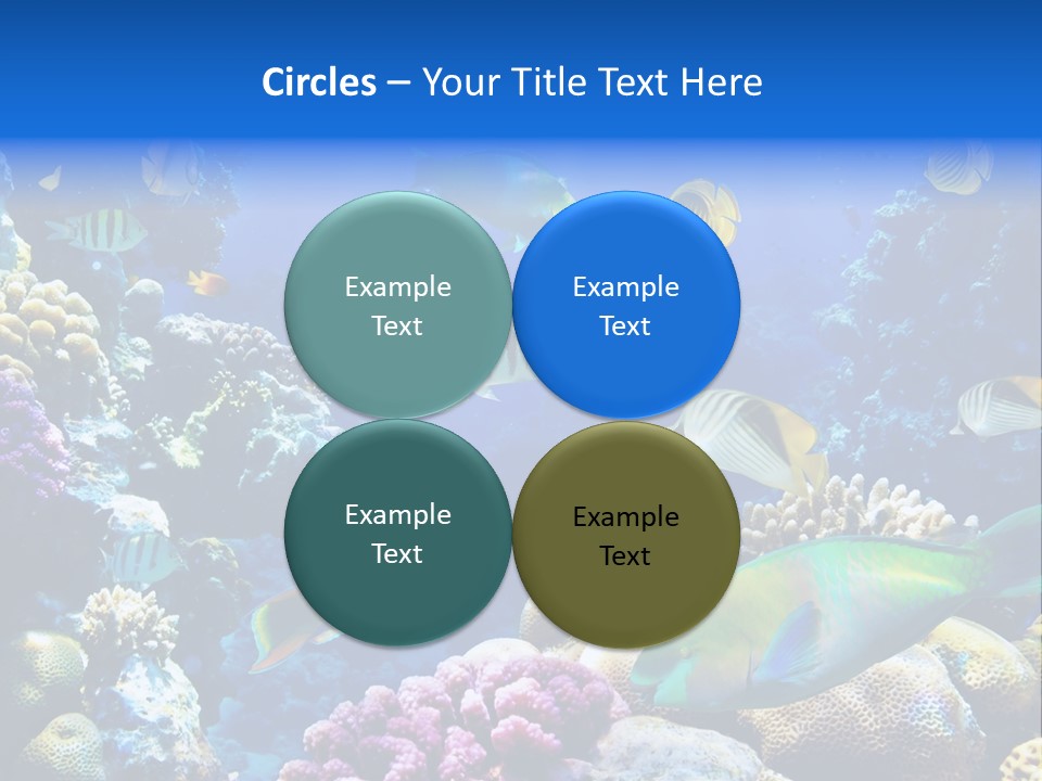 Ocean Tropical Egypt PowerPoint Template