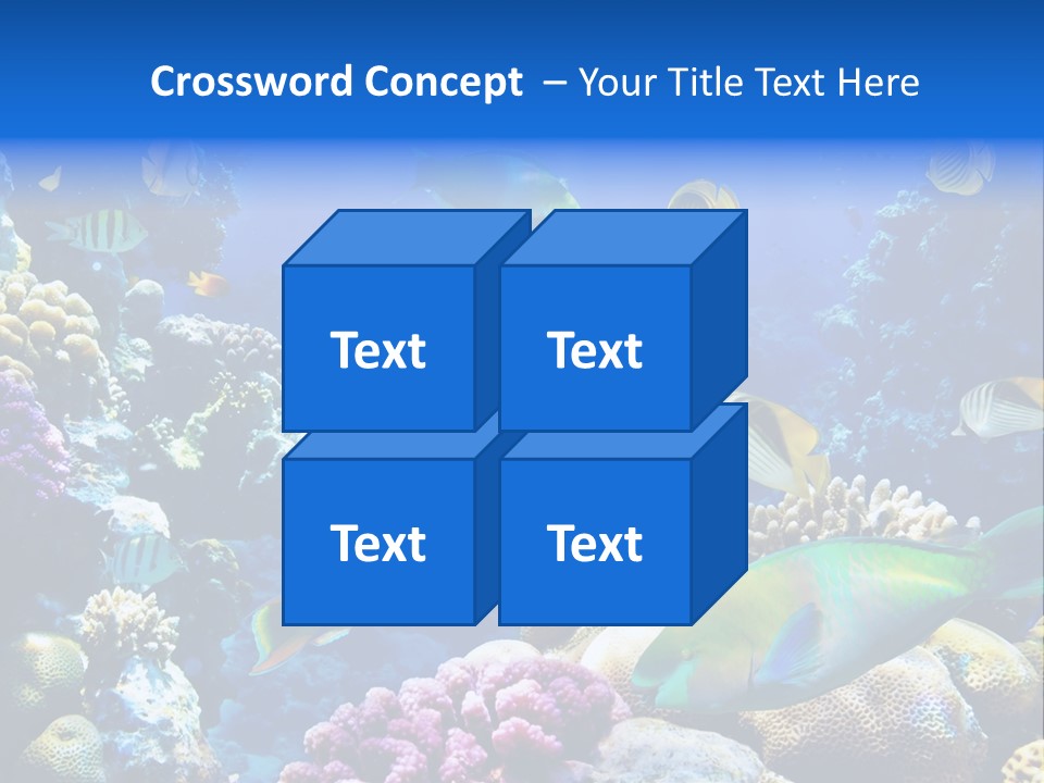 Ocean Tropical Egypt PowerPoint Template