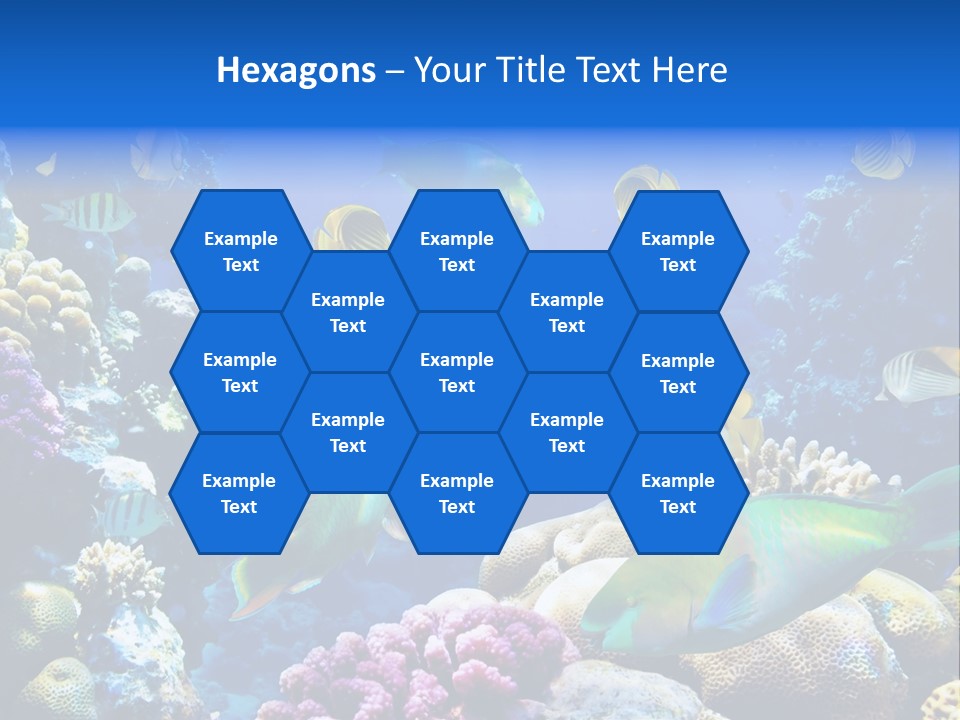 Ocean Tropical Egypt PowerPoint Template