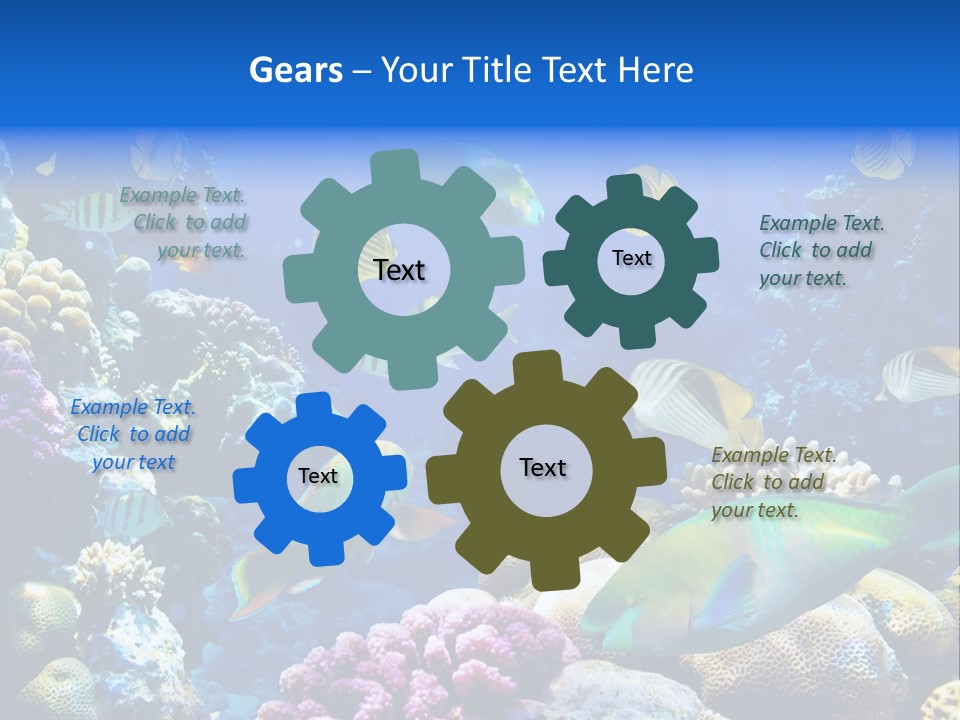 Ocean Tropical Egypt PowerPoint Template